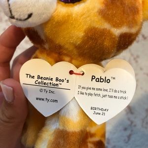 pablo ty beanie boo